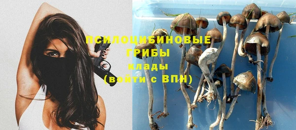 стаф Армянск