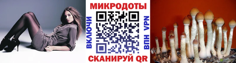 mega как зайти  Нефтекумск  Псилоцибиновые грибы прущие грибы 