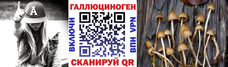 Галлюциногенные грибы мухоморы Нефтекумск